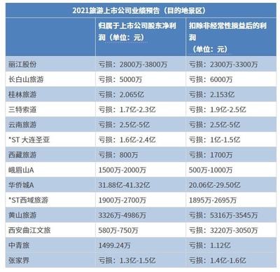2021年旅游出行“預(yù)虧王”深度解讀 挑戰(zhàn)與轉(zhuǎn)型之路